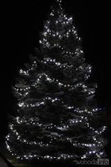 20171204103806_1 (27): Foto: Adventní čas přivítali slavnostním rozsvícením stromu také v Bílém Podolí